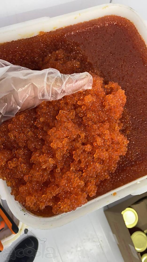 Икра красная горбуша опт